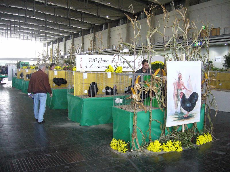 Hannover 2008 029.jpg - Hannover 2008